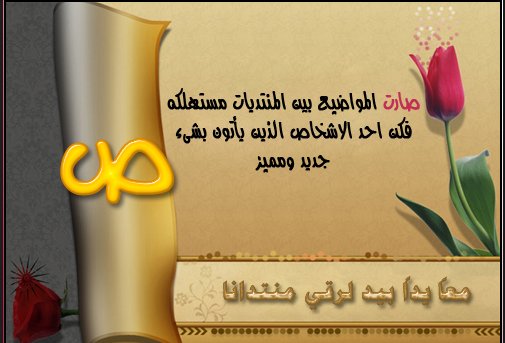 صورة