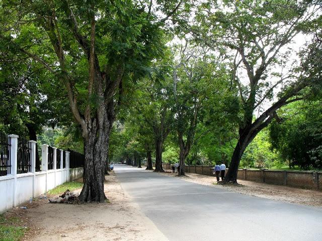 تعرف مدينة السلام تنزانيا 2017 844119483.jpg