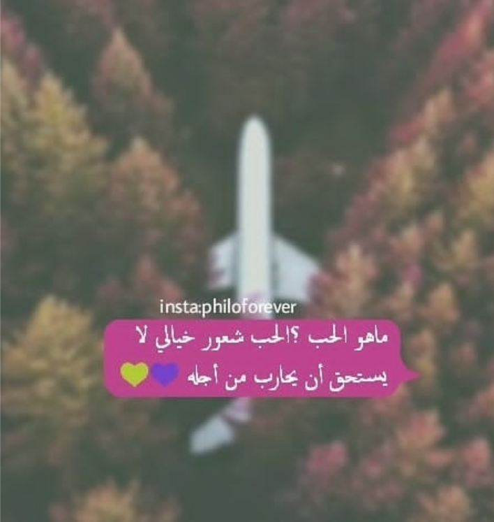 ���� ���� ������ �� ���� ������