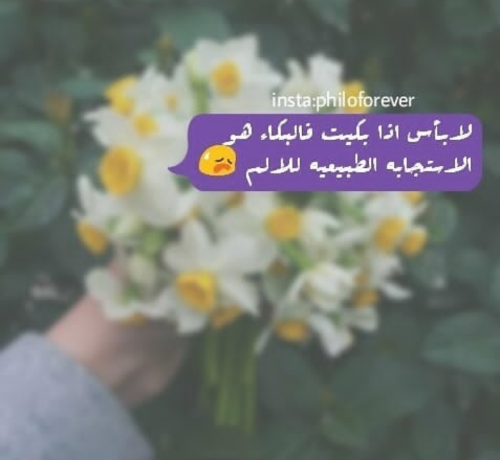 ���� ���� ������ �� ���� ������