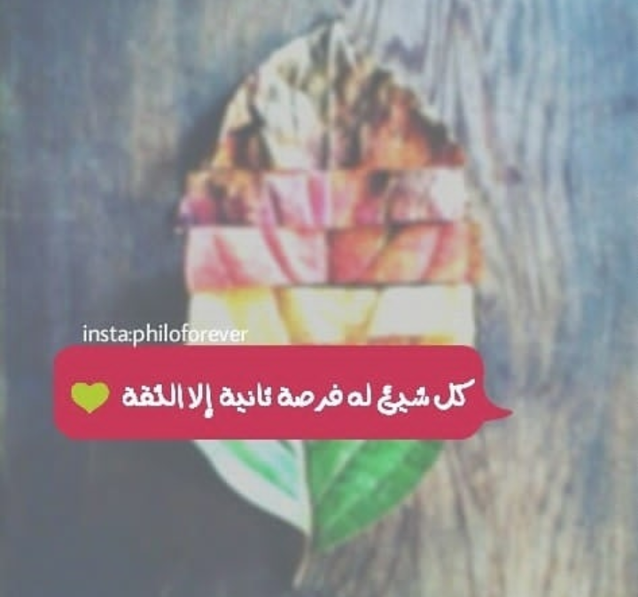 ���� ���� ������ �� ���� ������