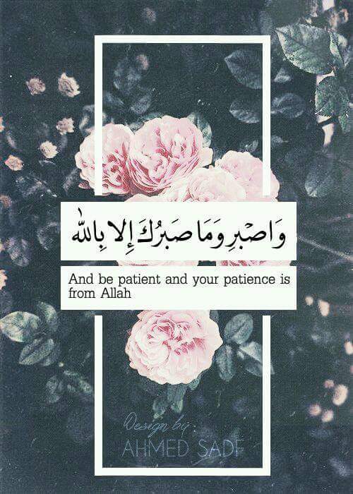 ���� ���� ������ �� ���� ������