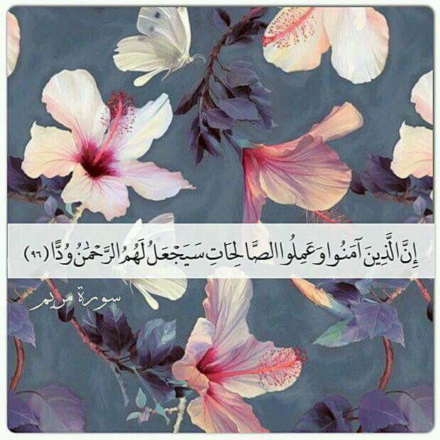 ���� ���� ������ �� ���� ������