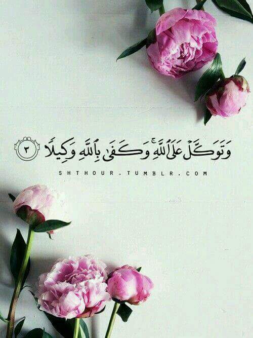 ���� ���� ������ �� ���� ������