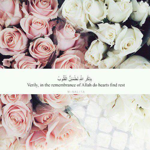 ���� ���� ������ �� ���� ������