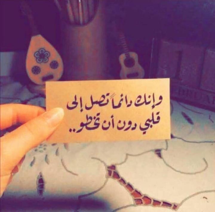 ���� ���� ������ �� ���� ������