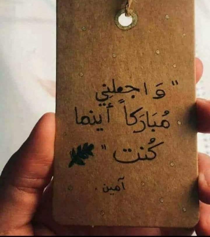 ���� ���� ������ �� ���� ������