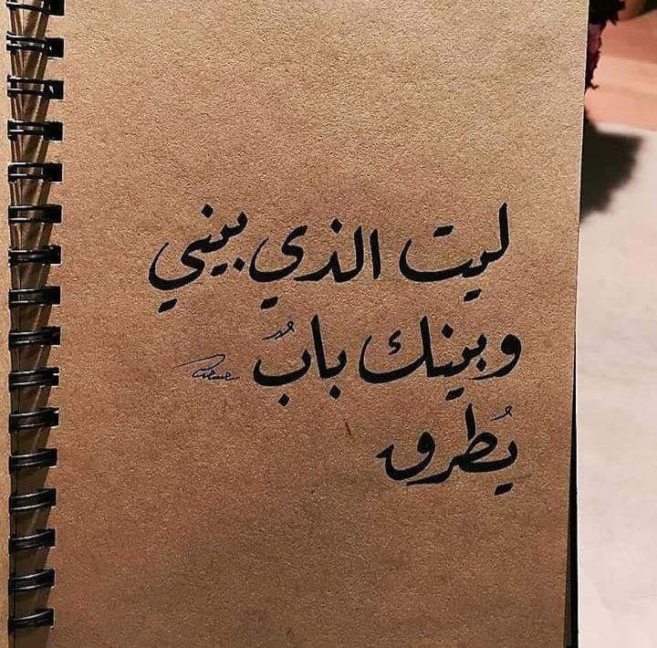 ���� ���� ������ �� ���� ������