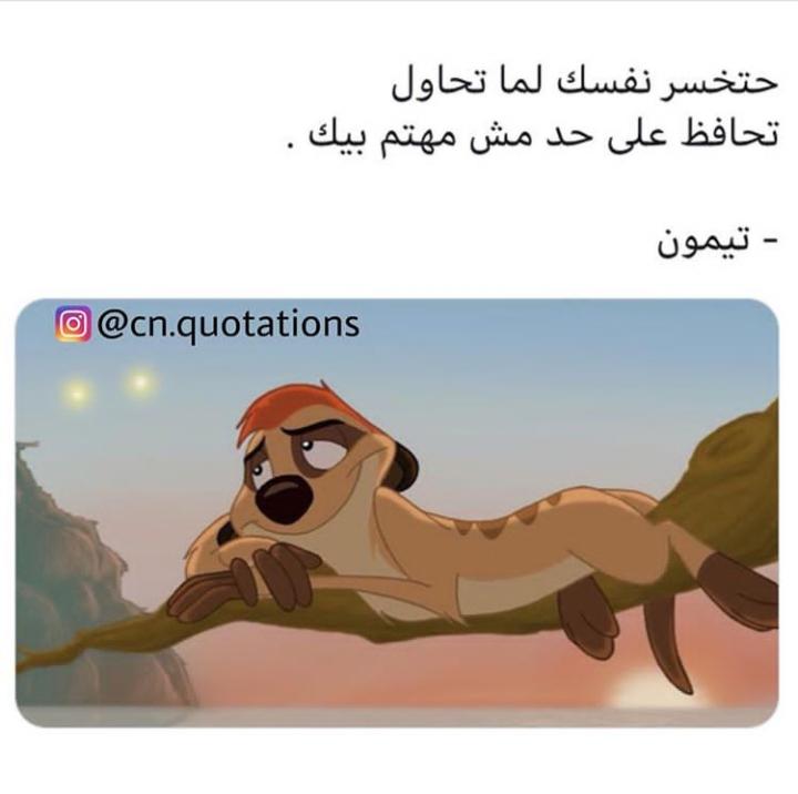 ���� ���� ������ �� ���� ������