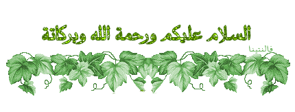 الشموس التسعة ☆ - ۩ أكاديمية الفينيق ۩