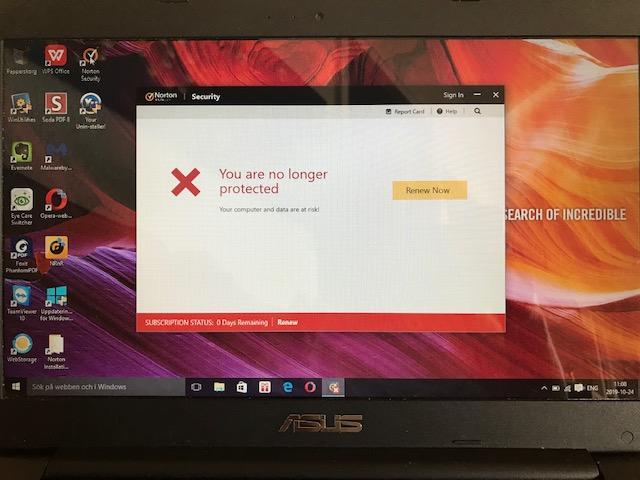 205337562.jpg