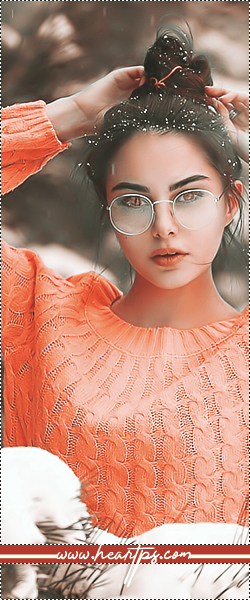 ���� ���� ������ �� ���� ������