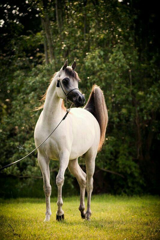 ���� ���� ������ �� ���� ������