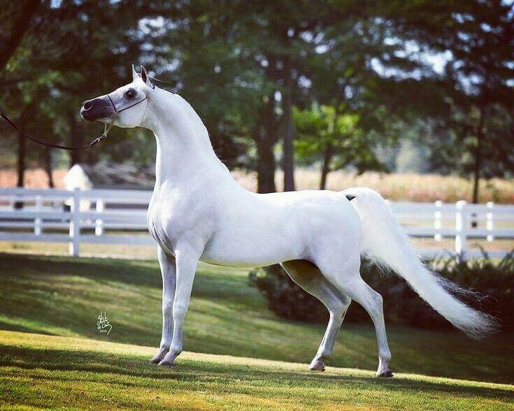 ���� ���� ������ �� ���� ������