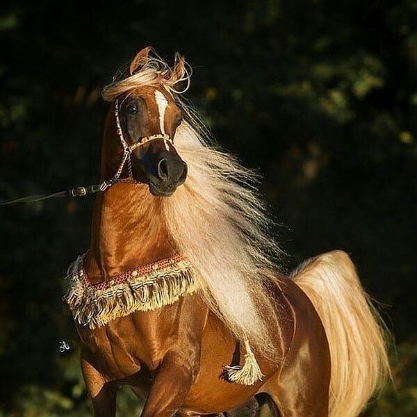 ���� ���� ������ �� ���� ������