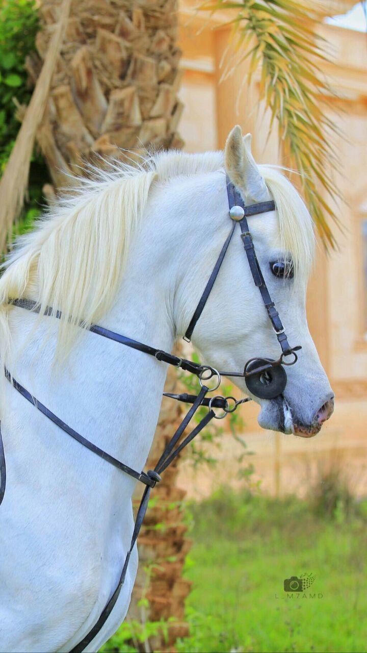 ���� ���� ������ �� ���� ������