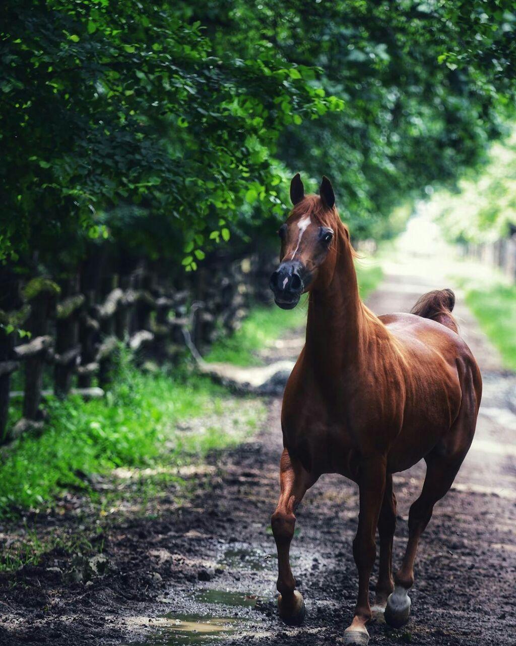 ���� ���� ������ �� ���� ������