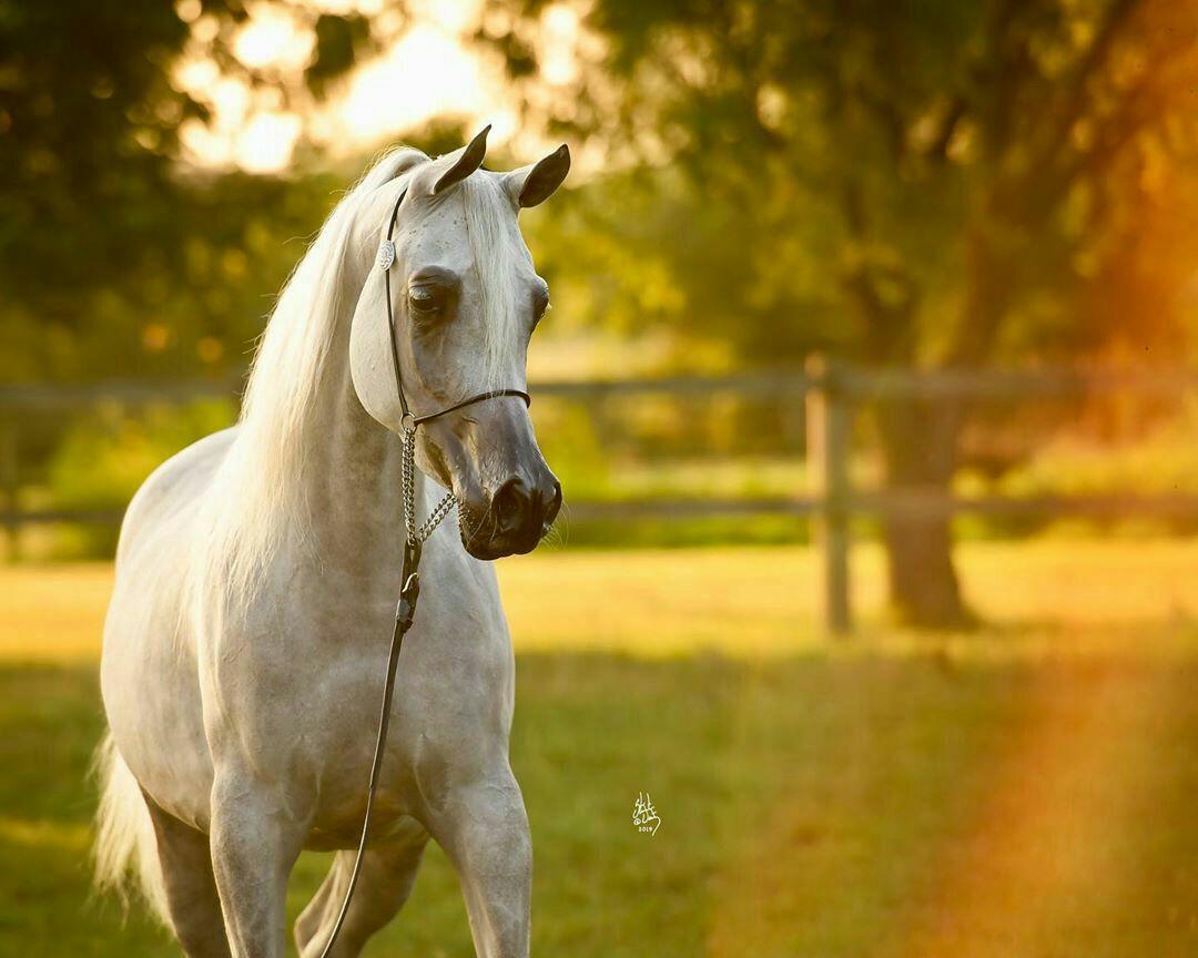 ���� ���� ������ �� ���� ������