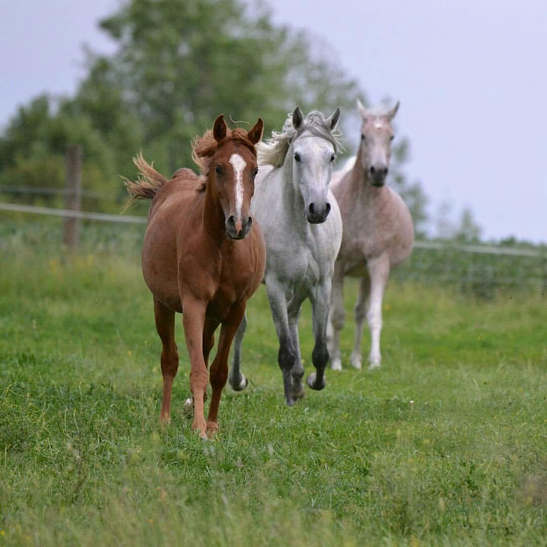 ���� ���� ������ �� ���� ������