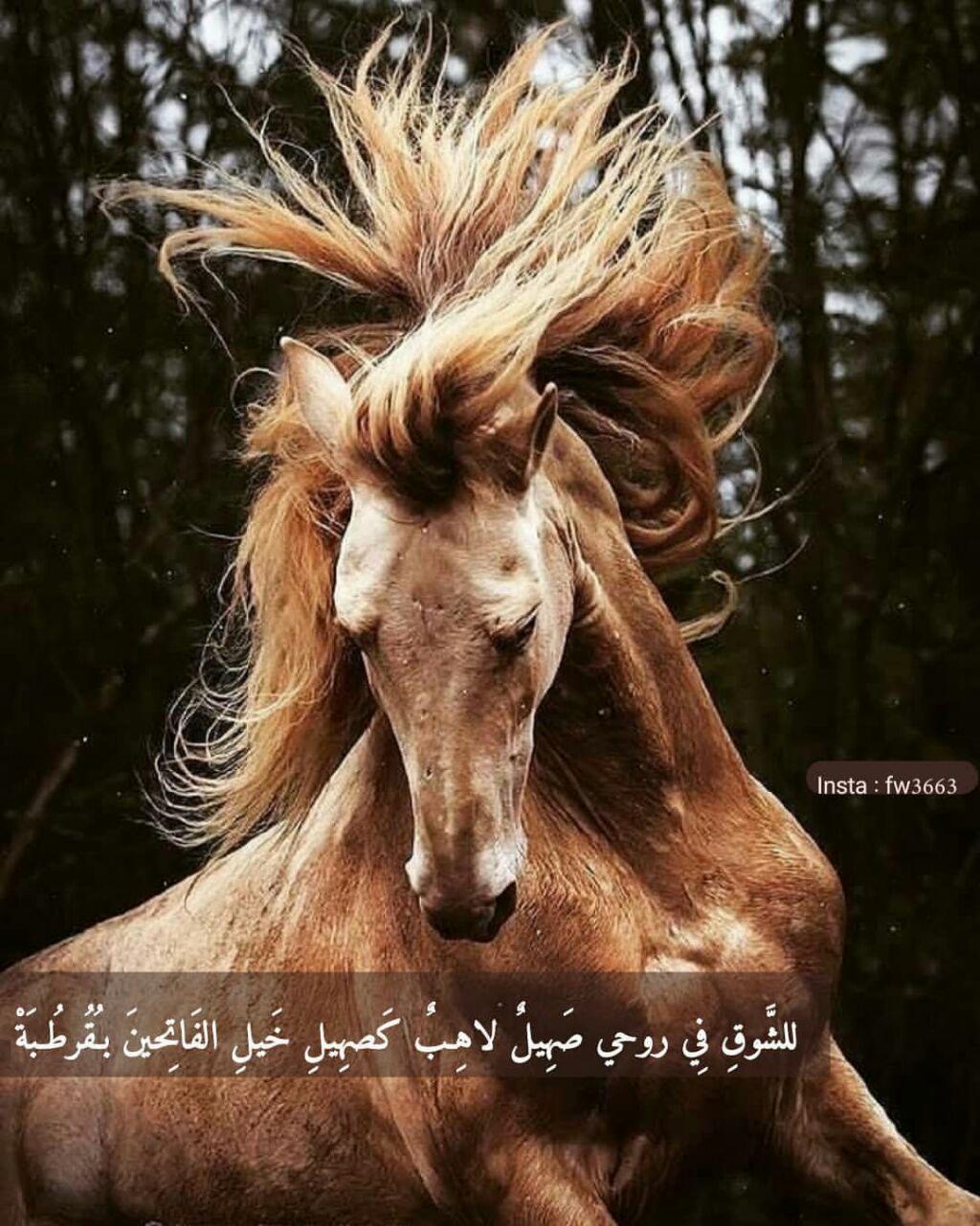 ���� ���� ������ �� ���� ������