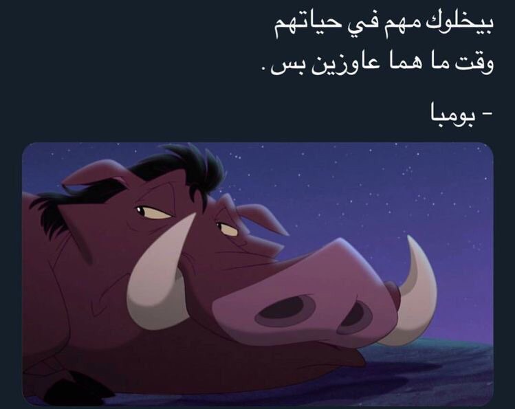 ���� ���� ������ �� ���� ������