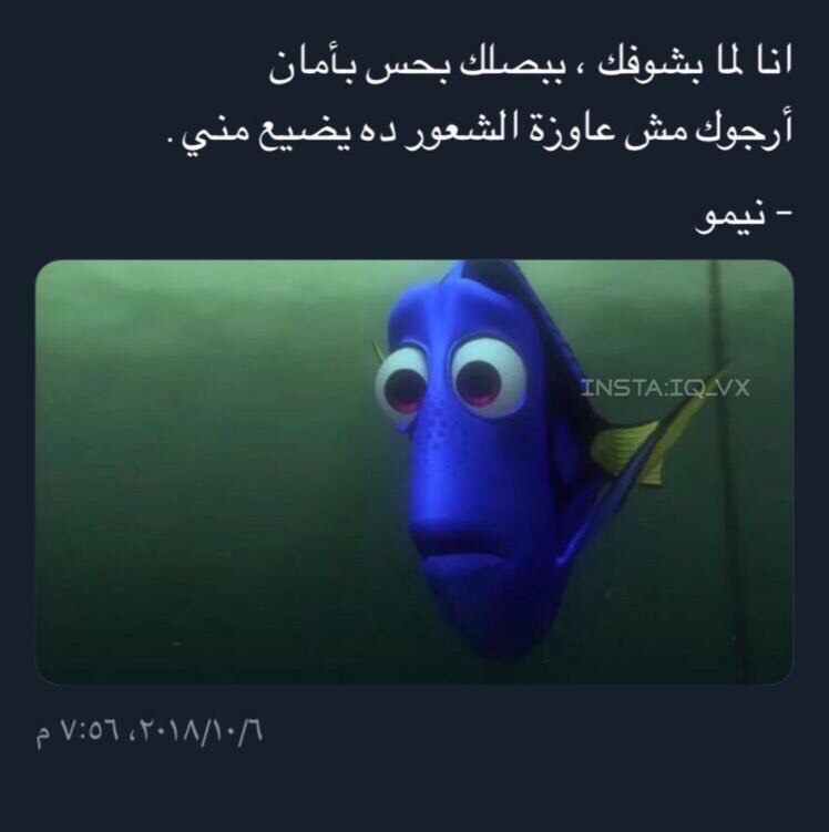 ���� ���� ������ �� ���� ������