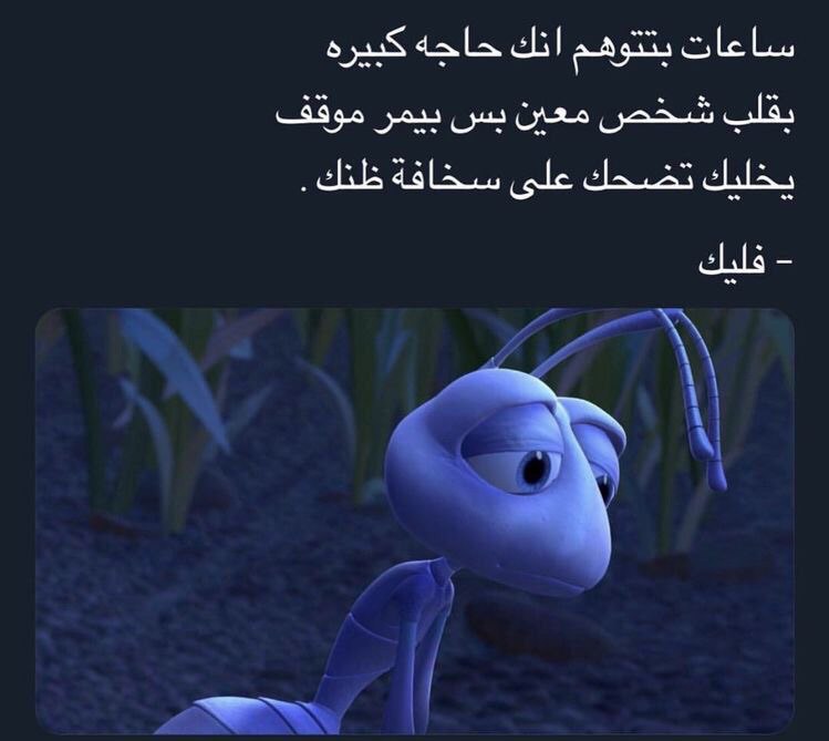 ���� ���� ������ �� ���� ������