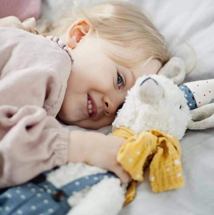 ���� ���� ������ �� ���� ������