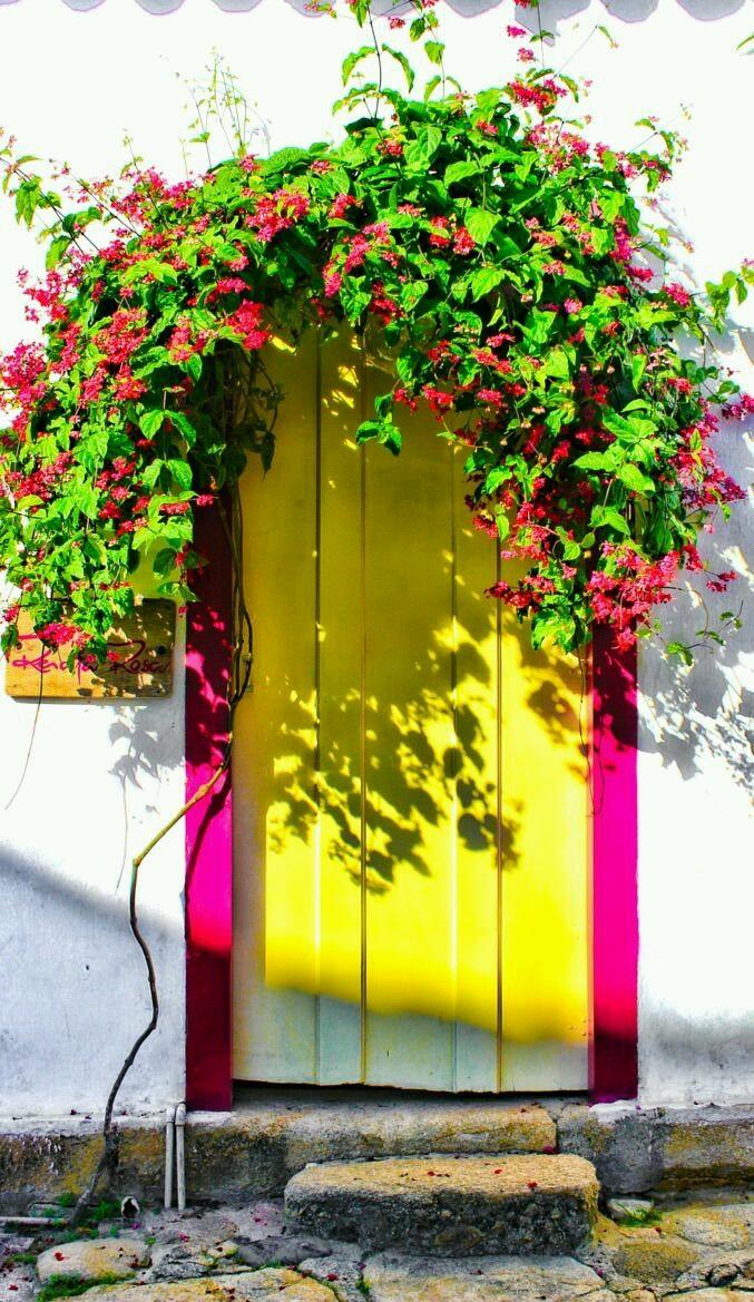 ���� ���� ������ �� ���� ������