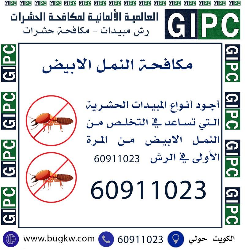 القدرة علىمكافحة حشرات الكويت بمختلف أنواعها، يستطيع العملاء طلب خدمات