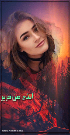 ���� ���� ������ �� ���� ������