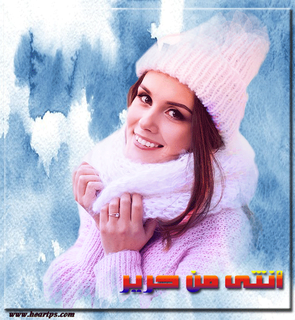 ���� ���� ������ �� ���� ������