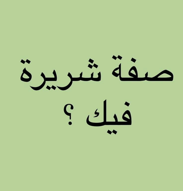 ���� ���� ������ �� ���� ������