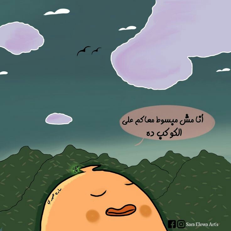 ���� ���� ������ �� ���� ������