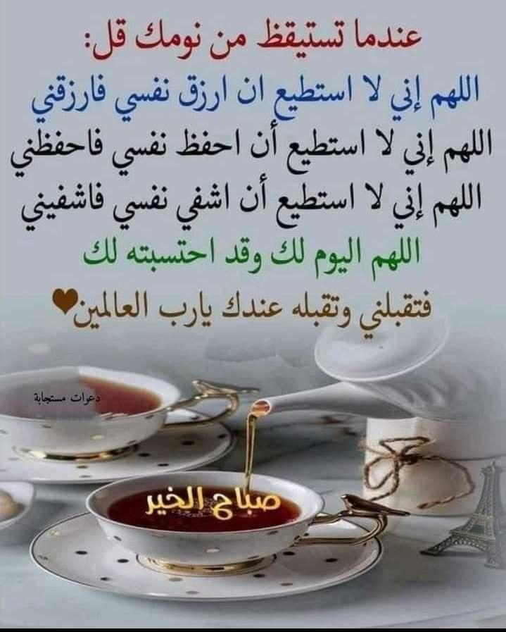 ���� ���� ������ �� ���� ������