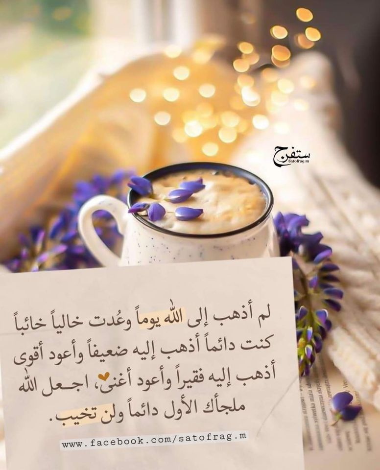 ���� ���� ������ �� ���� ������