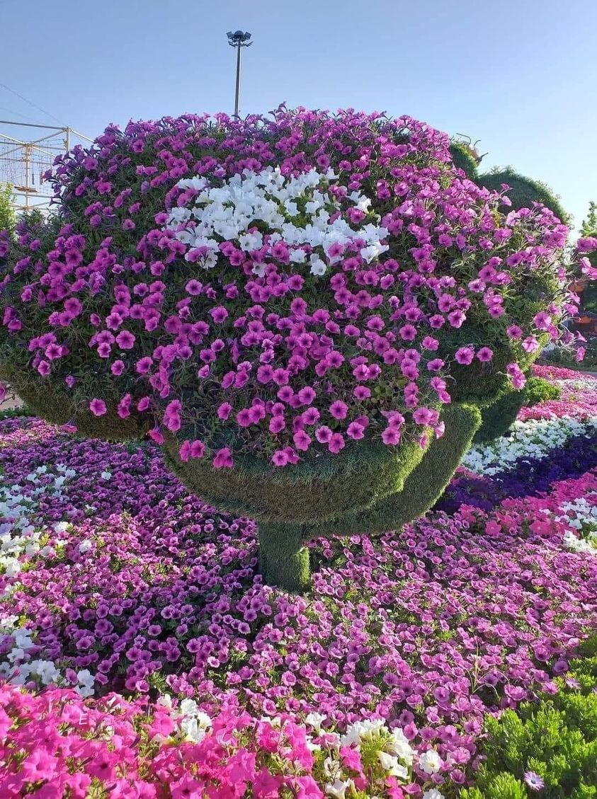 ���� ���� ������ �� ���� ������