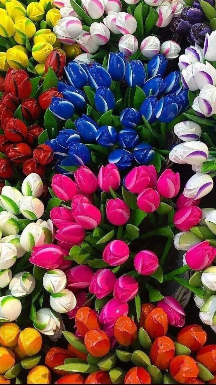 ���� ���� ������ �� ���� ������