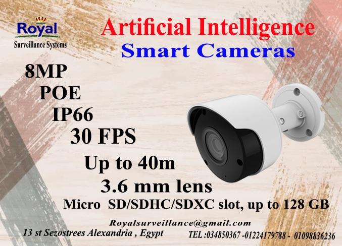 أحدث كاميرات مراقبة الخارجية الذكية8 MP  بعدسات ثابتة 406079487