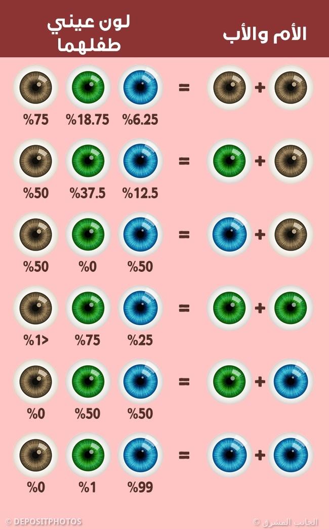 ���� ���� ������ �� ���� ������