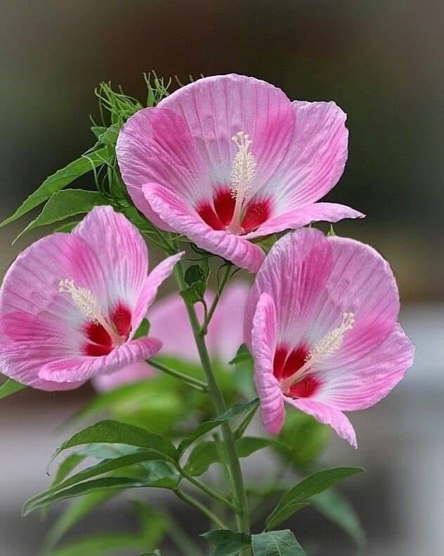 ���� ���� ������ �� ���� ������