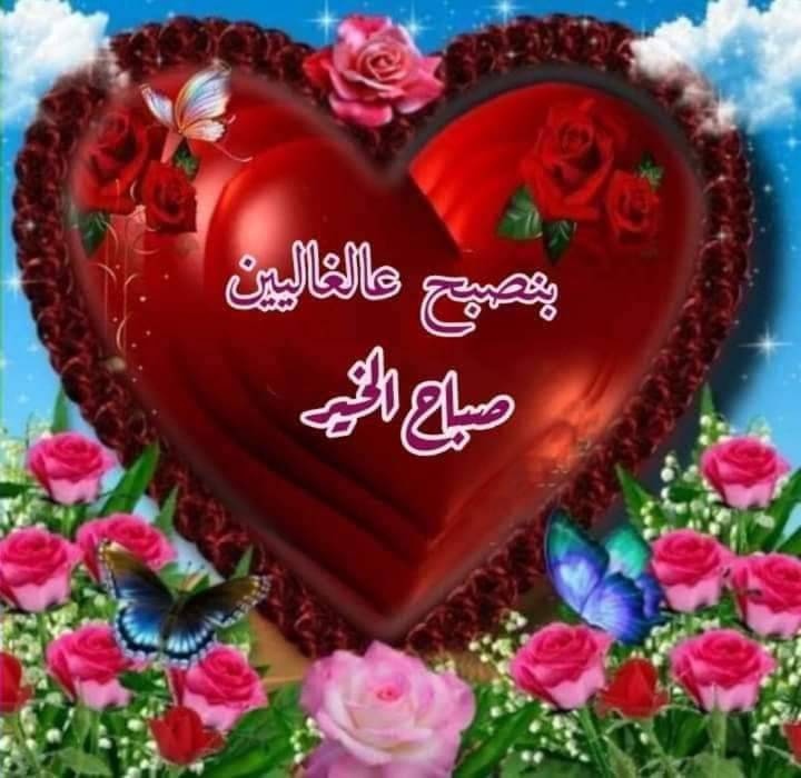 ���� ���� ������ �� ���� ������