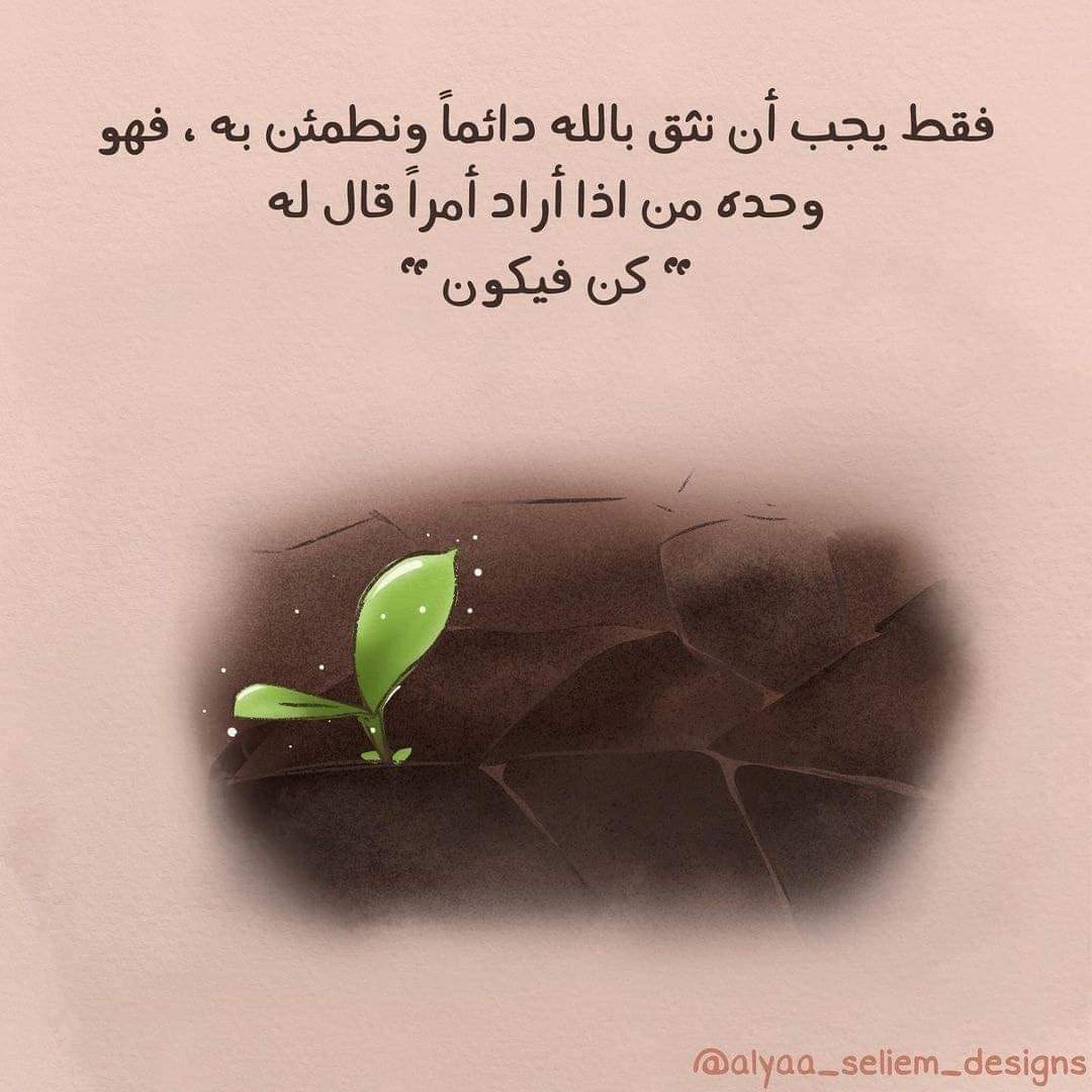 ���� ���� ������ �� ���� ������