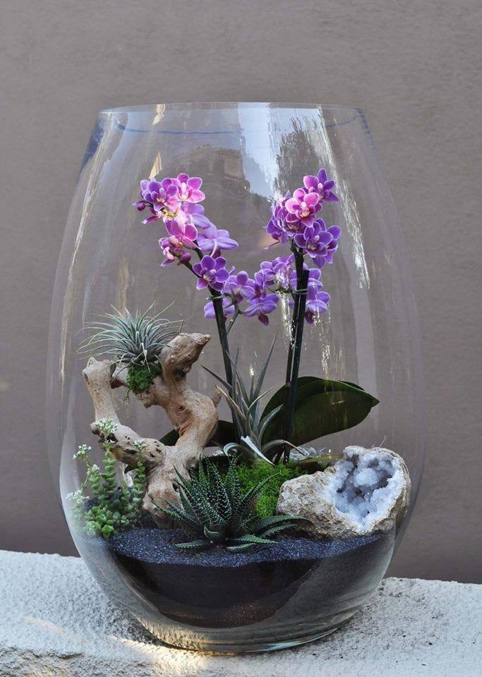 ���� ���� ������ �� ���� ������