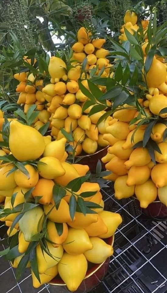 ���� ���� ������ �� ���� ������