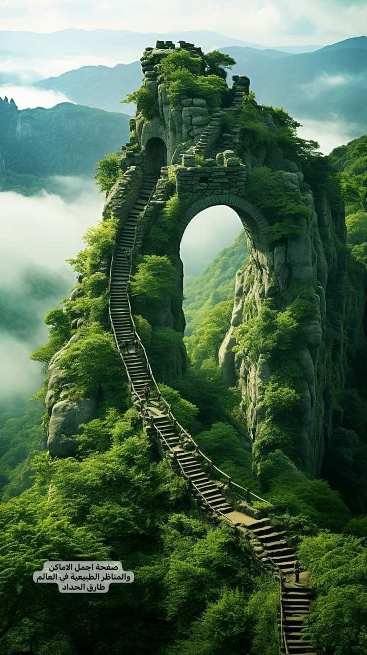 ���� ���� ������ �� ���� ������